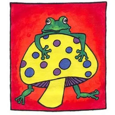 Freaky Frog T-shirt Painting Kit by Artburn