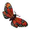 Orange Butterfly Pin by Wanda Shum