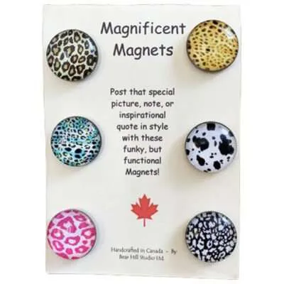 Magnificent Magnets - Animal Print